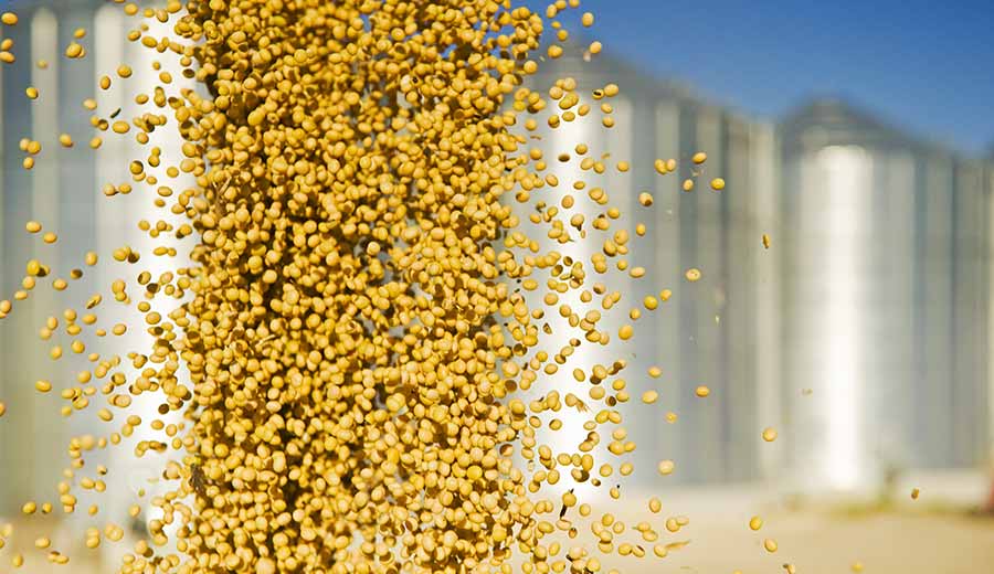 Feed Certification | Agriculture and Food | SGS Netherlands Feed Certification | Agriculture and Food | SGS Netherlands