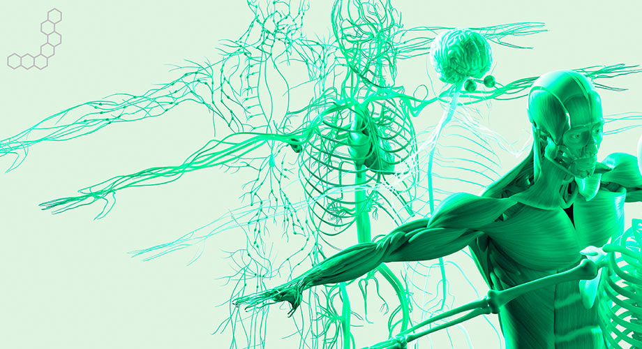 Clinical therapeutic areas